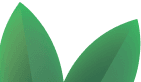 http://process%203%20leaf%202