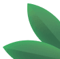 http://process%203%20leaf%205