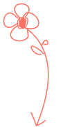 services 3 shape 5